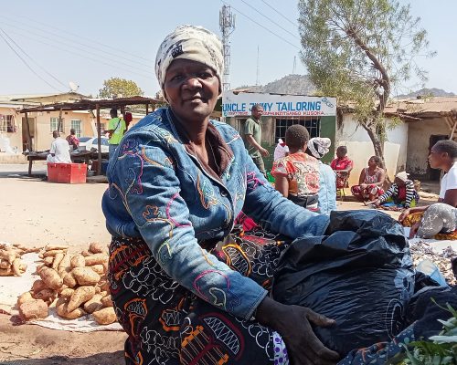 Client Success Story: Ainess Chisale – From Challenges to Empowerment